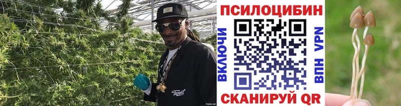 даркнет сайт Краснотурьинск Галлюциногенные грибы мухоморы