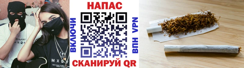 как найти наркотики  Краснотурьинск  Шишки марихуана сатива 